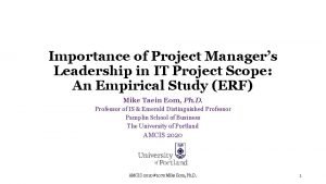 Importance of Project Managers Leadership in IT Project