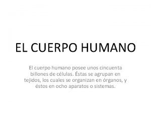Tipos de organismos del cuerpo humano