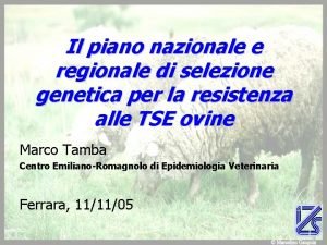 Il piano nazionale e regionale di selezione genetica