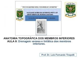 ANATOMIA TOPOGRFICA DOS MEMBROS INFERIORES AULA 9 Drenagem