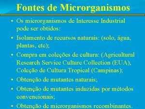 Microrganismos de interesse industrial