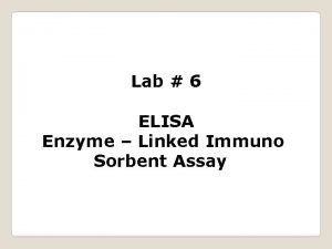 Lab 6 ELISA Enzyme Linked Immuno Sorbent Assay