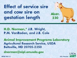 Effect of service sire and cow sire on
