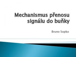 Bruno sopko