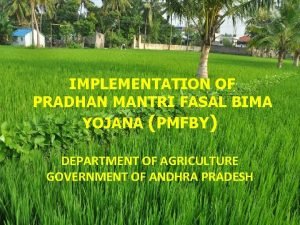 IMPLEMENTATION OF PRADHAN MANTRI FASAL BIMA YOJANA PMFBY