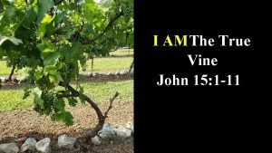 Jesus true vine