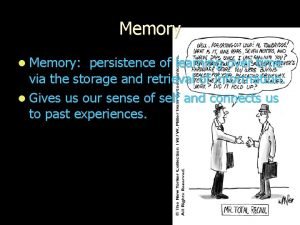 Memory is the persistence of learning over time