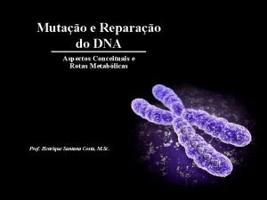 Mutao e Reparao do DNA Aspectos Conceituais e