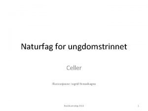 Naturfag for ungdomstrinnet Celler Illustrasjoner Ingrid Brennhagen Basiskunnskap