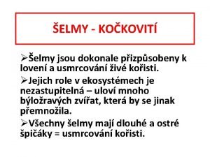 ELMY KOKOVIT elmy jsou dokonale pizpsobeny k loven