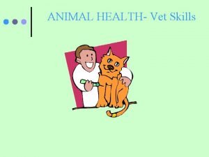 ANIMAL HEALTH Vet Skills Disinfectants and Antiseptics Disinfectants