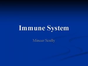 Immune System MincerScully Immune System Function To protect