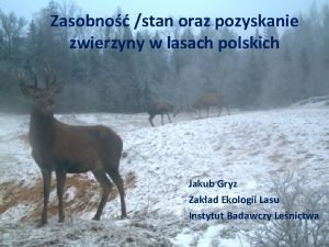 Zasobno stan oraz pozyskanie zwierzyny w lasach polskich