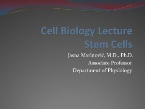 Cell Biology Lecture Stem Cells Jasna Marinovi M