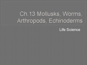 Ch 13 Mollusks Worms Arthropods Echinoderms Life Science