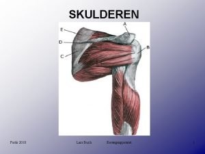 SKULDEREN Forr 2010 Lars Buch Bevgeapperatet 1 SKULDEREN