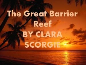 The Great Barrier Reef BY CLARA SCORGIE The