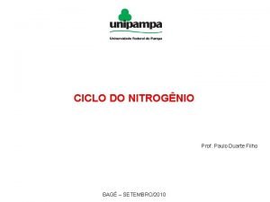 CICLO DO NITROGNIO Prof Paulo Duarte Filho BAG