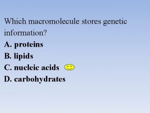 Macromolecule stores genetic information