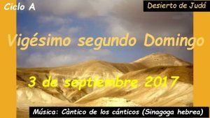 Ciclo A Desierto de Jud Vigsimo segundo Domingo