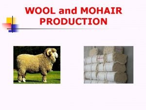 WOOL and MOHAIR PRODUCTION Fleece Wool Mohair Fleece