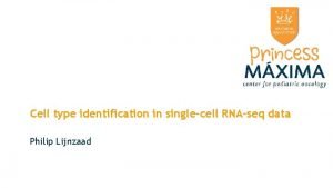 Cell type identification