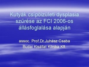 Kutyk cspizleti dysplasia szrse az FCI 2006 os
