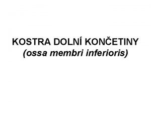 Ossa membri inferioris Ossa membri inferioris