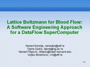 Lattice Boltzmann for Blood Flow A Software Engineering