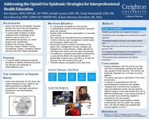 Addressing the Opioid Use Epidemic Strategies for Interprofessional