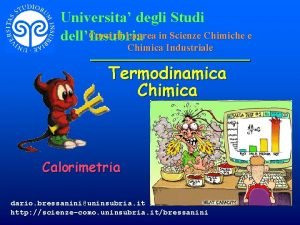 Universita degli Studi Corsi di Laurea in Scienze