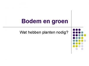 Bodem en groen Wat hebben planten nodig De