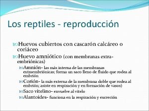 Los reptiles reproduccin Huevos cubiertos con cascarn calcreo