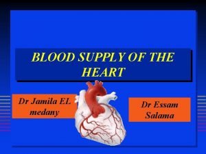 San blood supply