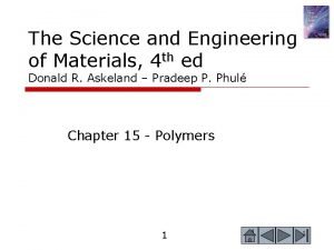 Which polymer