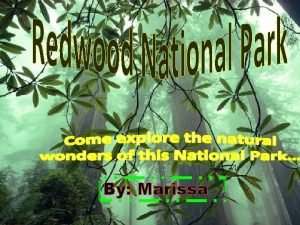 Redwood national park presentation