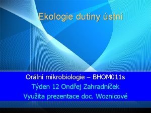Ekologie dutiny stn Orln mikrobiologie BHOM 011 s
