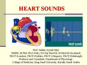 HEART SOUNDS Prof Sultan Ayoub Meo MBBS M