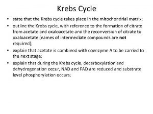 Krebs Cycle state that the Krebs cycle takes