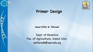 Primer Design Ameer Effat M Elfarash Dept of