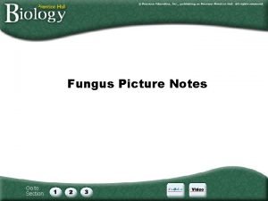 Fungi concept map answers