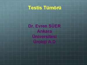 Testis Tmr Dr Evren SER Ankara niversitesi roloji