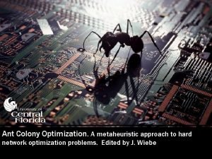 Ant Colony Optimization A metaheuristic approach to hard