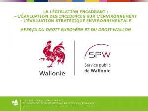 LA LGISLATION ENCADRANT LVALUATION DES INCIDENCES SUR LENVIRONNEMENT