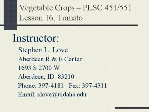 Vegetable Crops PLSC 451551 Lesson 16 Tomato Instructor