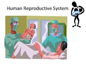 Human Reproductive System Human Reproduction Human reproduction and
