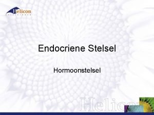 Endocriene Stelsel Hormoonstelsel Zenuwstelsel Hormoonstelsel Zeer nauwe samenwerking