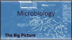 Microbiology The Big Picture Microbiology Prehistory Society Industrial