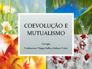 COEVOLUO E MUTUALISMO Ecologia Professores Thiago Ruffo e