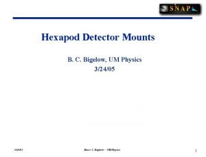 Hexapod Detector Mounts B C Bigelow UM Physics